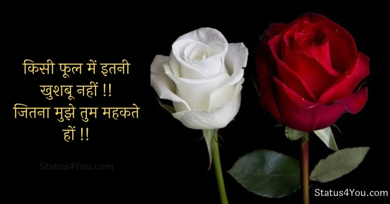rose day shayari, रोज डे शायरी, rose day shayari in hindi, happy rose day shayari, romantic rose day shayari, shayari happy rose day, happy rose day my love shayari, rose day shayari in english, love rose day shayari, rose day image shayari in hindi, rose day shayari for husband, rose day special shayari, happy rose day shayari in hindi, rose day funny shayari, rose day par shayari, rose day shayari, rose day sad shayari, shayari on rose day, rose day ki shayari, rose day shayari for wife in hindi, shayari for rose day, rose day shayari for husband in hindi, rose day shayari for love, rose day shayari english, rose day shayari for best friend, rose day shayari for girls, rose day ke liye shayari, rose day shayari for girlfriend, sad rose day shayari, rose day shayari, rose day shayari for wife,
