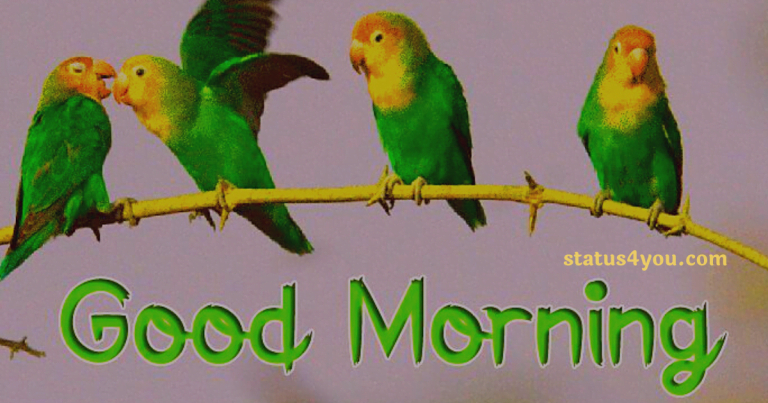 Good morning message in Hindi, Good morning message in Hindi for friend, Positive good morning message in Hindi, Good morning message for friends in Hindi, Good morning messages in Hindi for wshatsapp, motivation good morning message in hindi, good morning love messages in hindi, good morning text messages in hindi, suvichar good morning message in hindi, thought good morning message in hindi, good morning motivational message in hindi, heart touching good morning messages for friends in hindi, love good morning message in hindi, beautiful good morning message in hindi, good morning love message in hindi, good morning flowers with messages in hindi, good morning message to my love in hindi, romantic good morning message in hindi, good morning message for wife in hindi, good morning motivational messages in hindi, sunday good morning message in hindi, best good morning message in hindi, good morning image with message in hindi, good morning in hindi message, good morning message for whatsapp in hindi, good morning whatsapp message in hindi, heart touching good morning message in hindi, latest good morning message in hindi, new good morning message in hindi, romantic good morning messages for husband in hindi, spiritual good morning message in hindi, spiritual good morning messages in hindi, sweet good morning message in hindi, buddha good morning message in hindi, good morning messages in hindi shayari, inspiration good morning message in hindi, friday good morning message in hindi, funny good morning message in hindi, good morning message for gf in hindi, good morning message god in hindi, inspiration positive good morning message in hindi, inspirational good morning message in hindi,