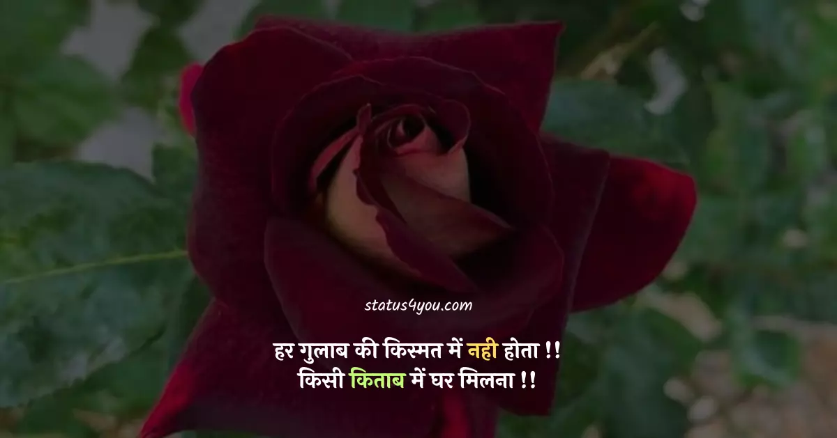 Best Flower Quotes In Hindi फ ल पर