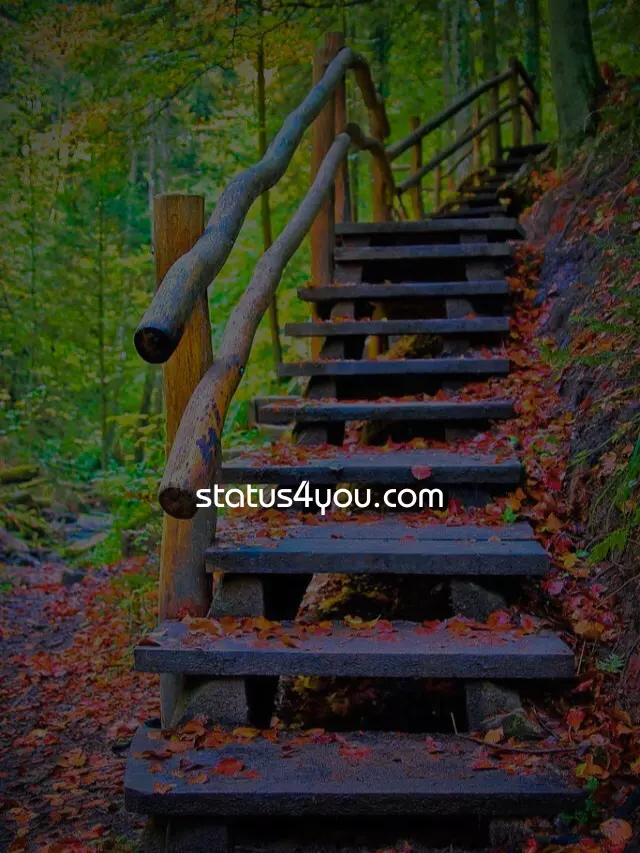 Mausam Shayari in Hindi